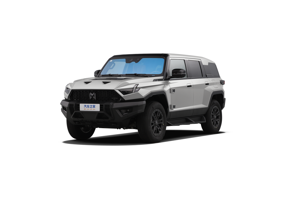 Mengshi 917 — круговой обзор